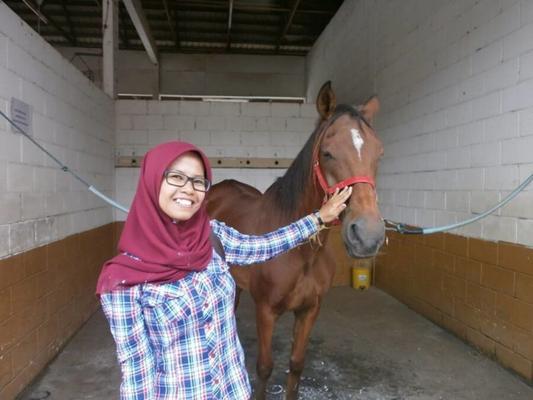 Jilbab com Cavalo