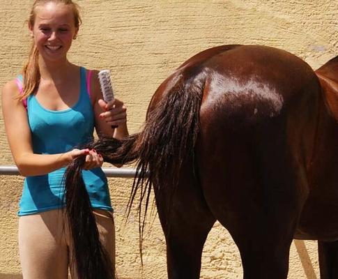 Horse Riding Girls caring tending for Pet Beast