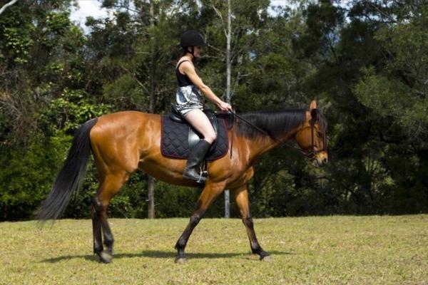 Sur un cheval