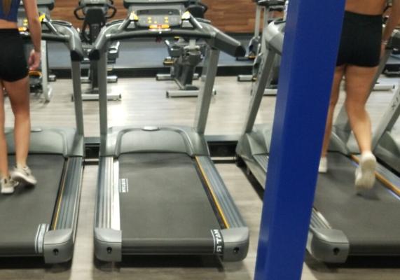 Chicas en el gimnasio