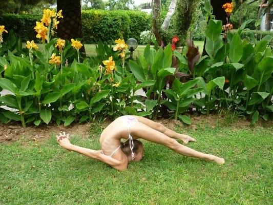 from contortionist to model