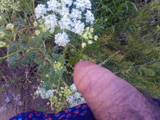 Camila observando as flores