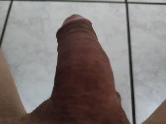 My Cock