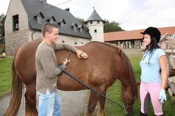 Hardcore gibt es auf Pferd auf